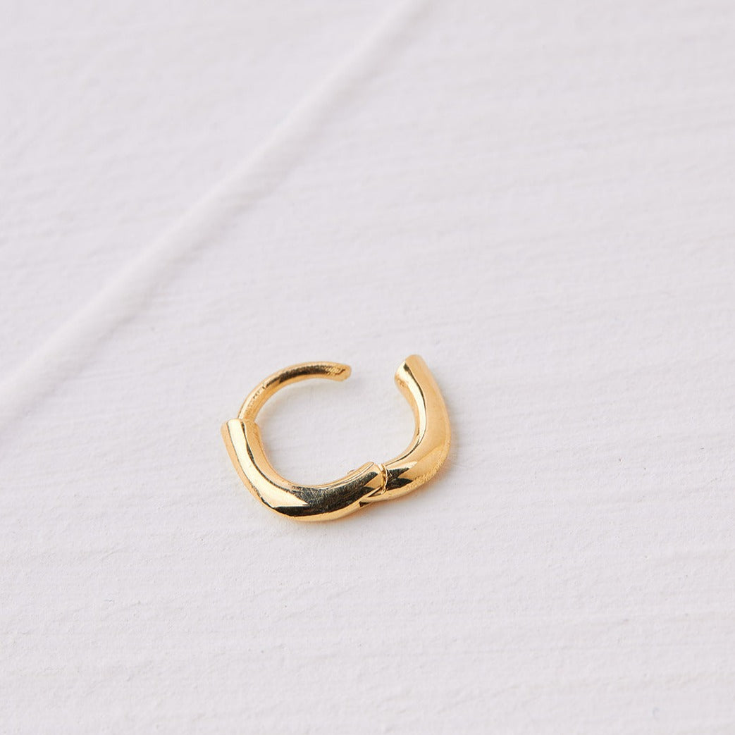 Small Gold Hoop Earring