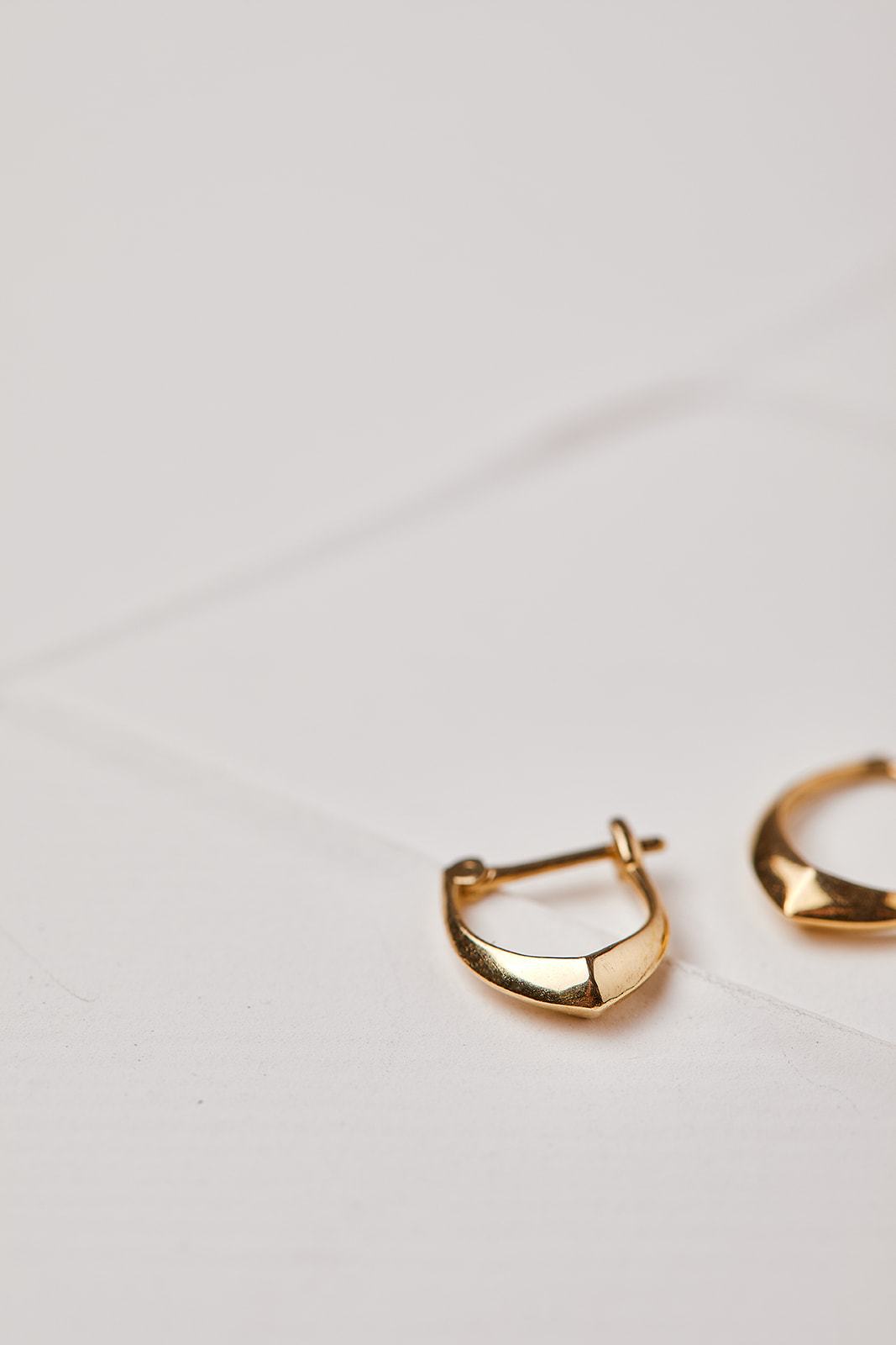 Vine Earring Made of Gold